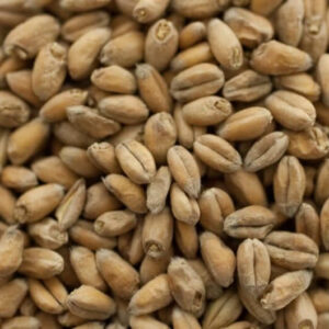 Wheat Malt (2 lbs) - Thomas Fawcett & Sons