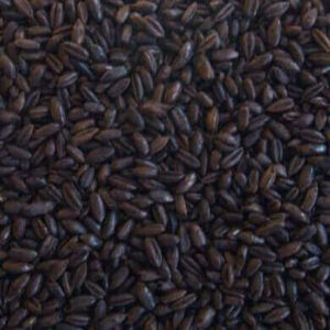 525-EBC Roasted Rye Malt (1 lb) - Thomas Fawcett & Sons