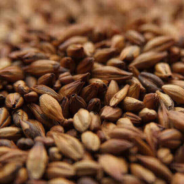 Weyermann - Munich Malt Type 2 (2 lbs) - Dark Munich