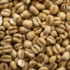 Torrefied Wheat (2 lbs) - Thomas Fawcett & Sons