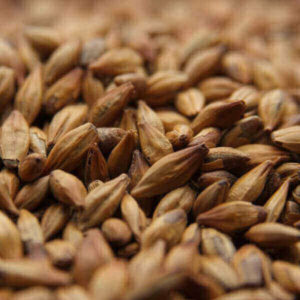 Weyermann - CARAMUNICH Type I - Caramel Malt (1 lb)
