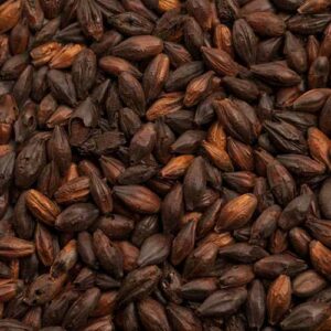 Black Malt (1lb) - BESTMALZ
