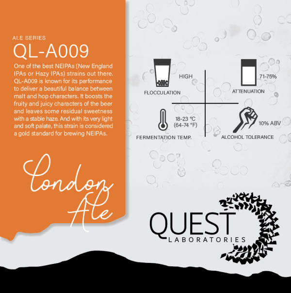 Quest Labs QL-A009 London Ale