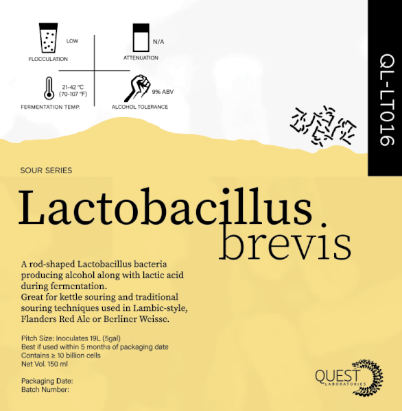 Lactobacillus 1