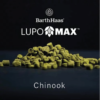 Chainook lupomax