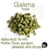 Galena hops