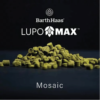 Mosaic lupomax