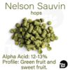 Nelson Sauvin hops