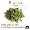 Riwaka hops