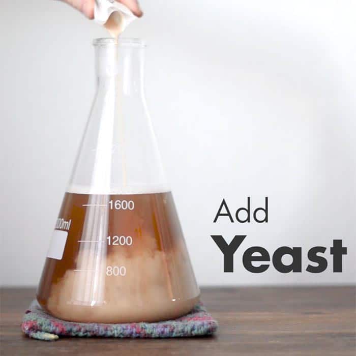 yeast starter how to