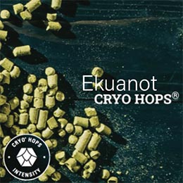 Ekuanot CRYO hops