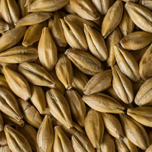 CHÂTEAU 5-EBC CARA CLAIR Malt (1lb) - Castle Malting