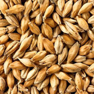 CHÂTEAU 100-EBC AROME (1lb) - Castle Malting