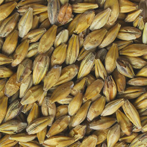 CHÂTEAU 9.5-EBC ACID Malt (1lb) - Castle Malting