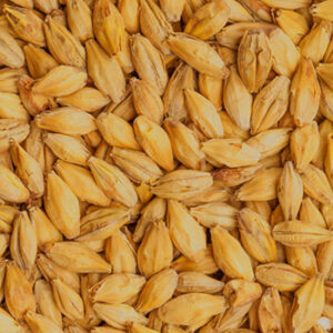 CHÂTEAU CARA GOLD 120-EBC (1lb) - Castle Malting