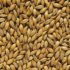 CHÂTEAU PALE ALE Malt (1lb) - Castle Malting