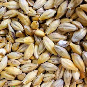 CHÂTEAU PILSEN 2-Row Malt (1lb) - Castle Malting