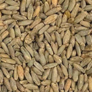CHÂTEAU RYE Malt (1lb) - Castle Malting