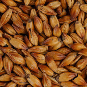 CHÂTEAU SPECIAL B 300-EBC (1lb) - Castle Malting