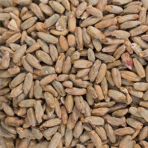 Rye Malt (1lb) - Thomas Fawcett
