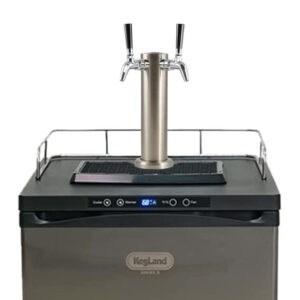 2 taps kegerator