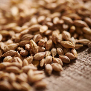Acid Malt Acidulated Malt Weyermann
