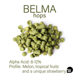 Belma Hops T90 Pellet - American Hops