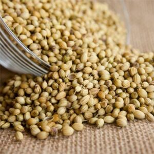 Coriander Seeds