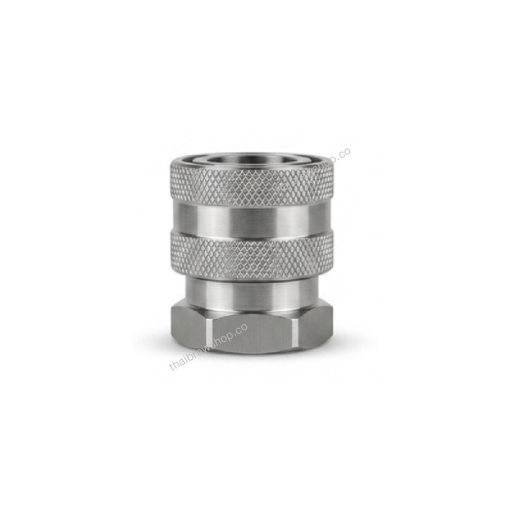 Stainless Steel Female Quick Disconnect Cap