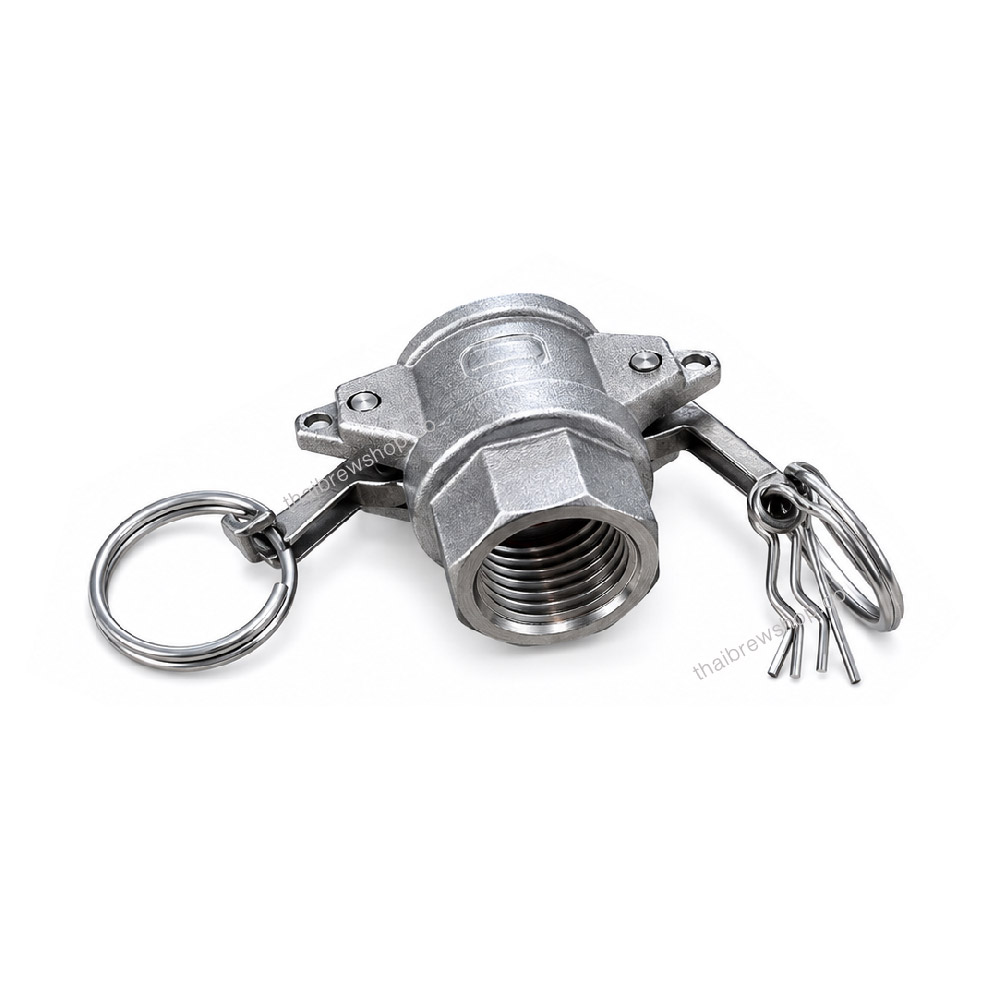 BH03064-4 Camlock QD Type-D 1/2" BSP Thread