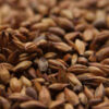 CARAMUNICH Type III (1lb) - Weyermann 1 Weyermann - CARAMUNICH Type III - Caramel Malt (1 lb)