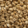 Torrefied Wheat (1lb) - Thomas Fawcett & Sons 2 Torrefied Wheat (2 lbs) - Thomas Fawcett & Sons