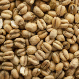 Torrefied Wheat (2 lbs) - Thomas Fawcett & Sons