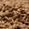 CARAMUNICH Type I (1lb) - Weyermann 2 Weyermann - CARAMUNICH Type I - Caramel Malt (1 lb)