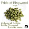 Pride of Ringwood hops