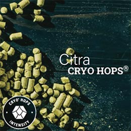 Citra CRYO hops