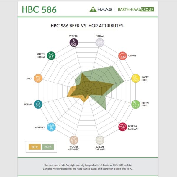 HBC 586 Hops