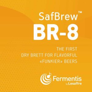 Fermentis BR-8 brett