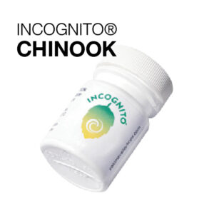 Chinook Incognito