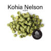 Kohia Nelson Hops - Freestyle Hops, New Zealand 1 Kohia Nelson 02